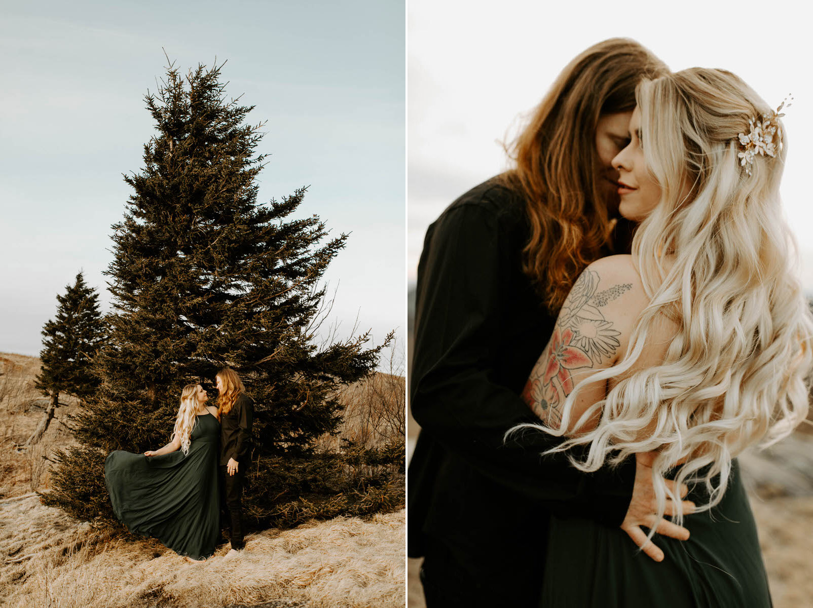 north carolina engagement photographer elopement couple adventure shelby robinson black balsam bald blue ridge parkway thistle wood photo