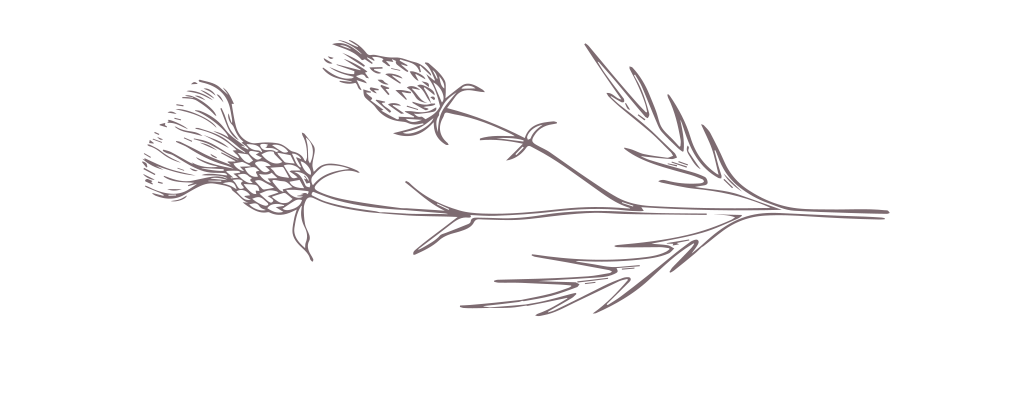 thistle wood photo shelby robinson