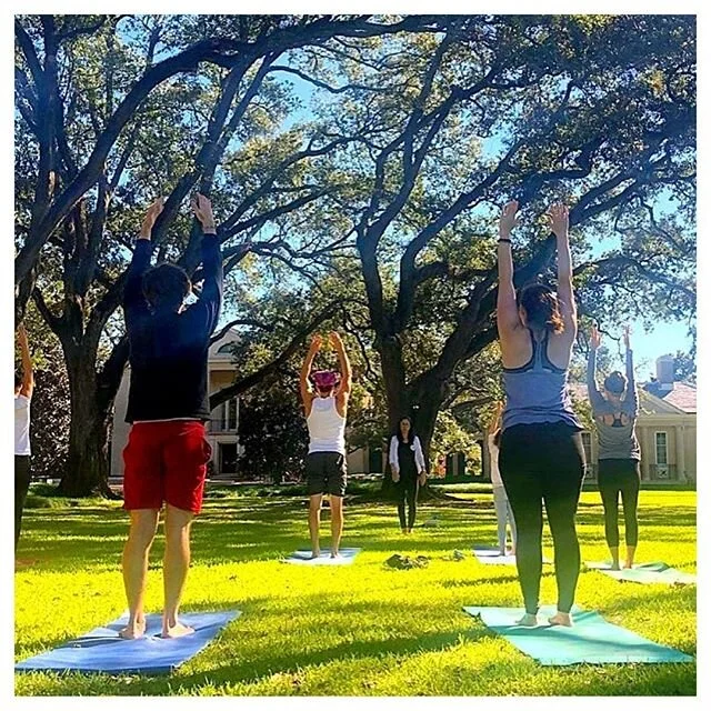 Our partnership with Longue Vue has grown so much! 
We&rsquo;re offering classes Tuesdays &amp; Thursdays, but this Saturday will be Yoga with a Vue at 9:30am! Join us &amp; flow with us to start your weekend strong.