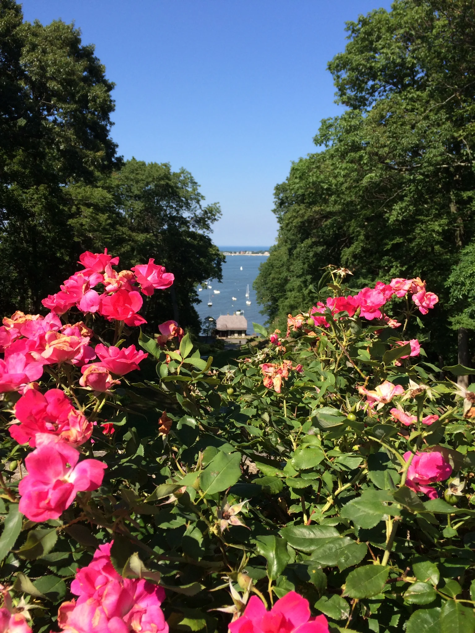 “My” Parkinson’s