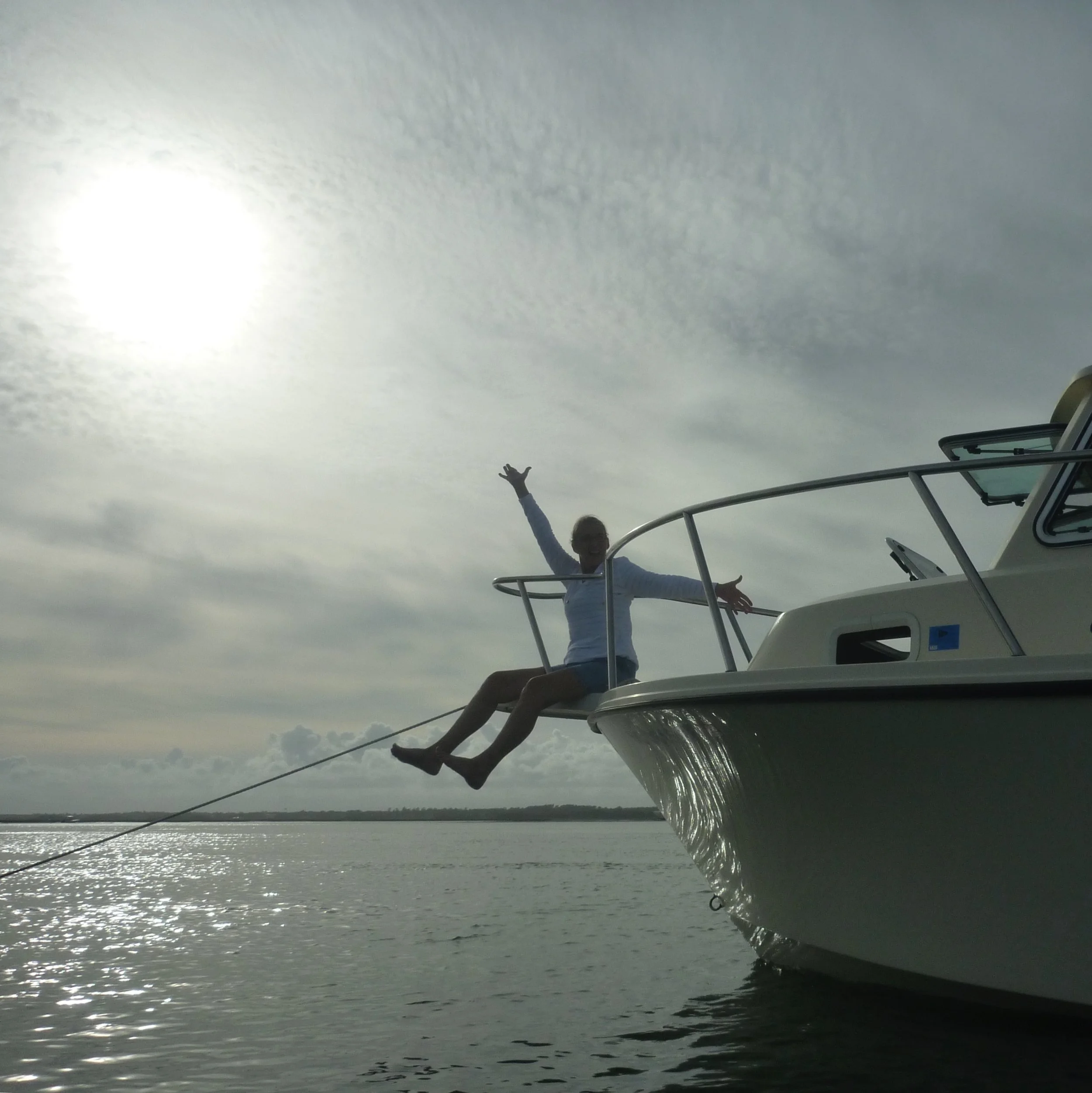 Apricus :  Warmed by the Sun