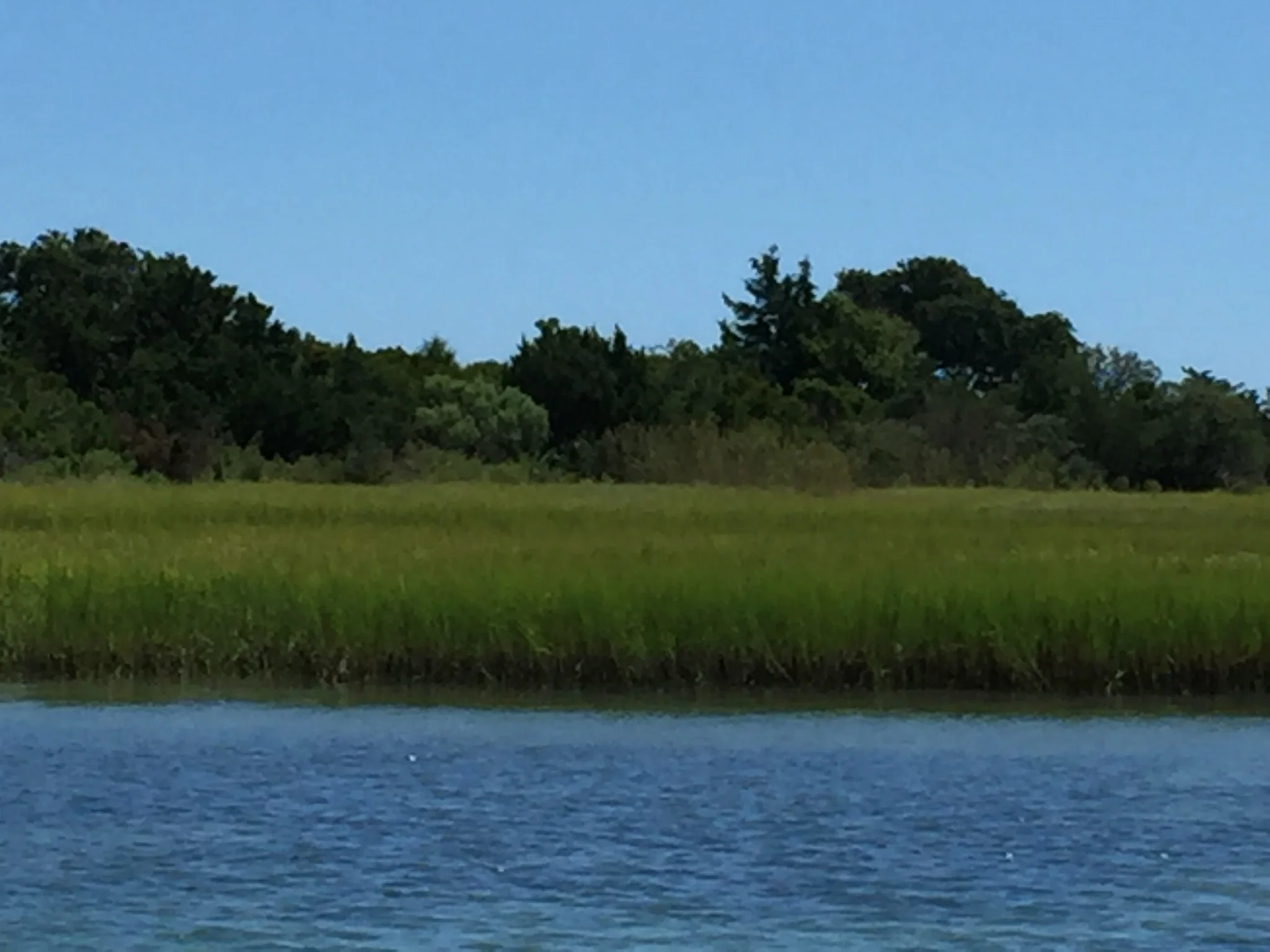 Parkinson’s Does Not Define Me