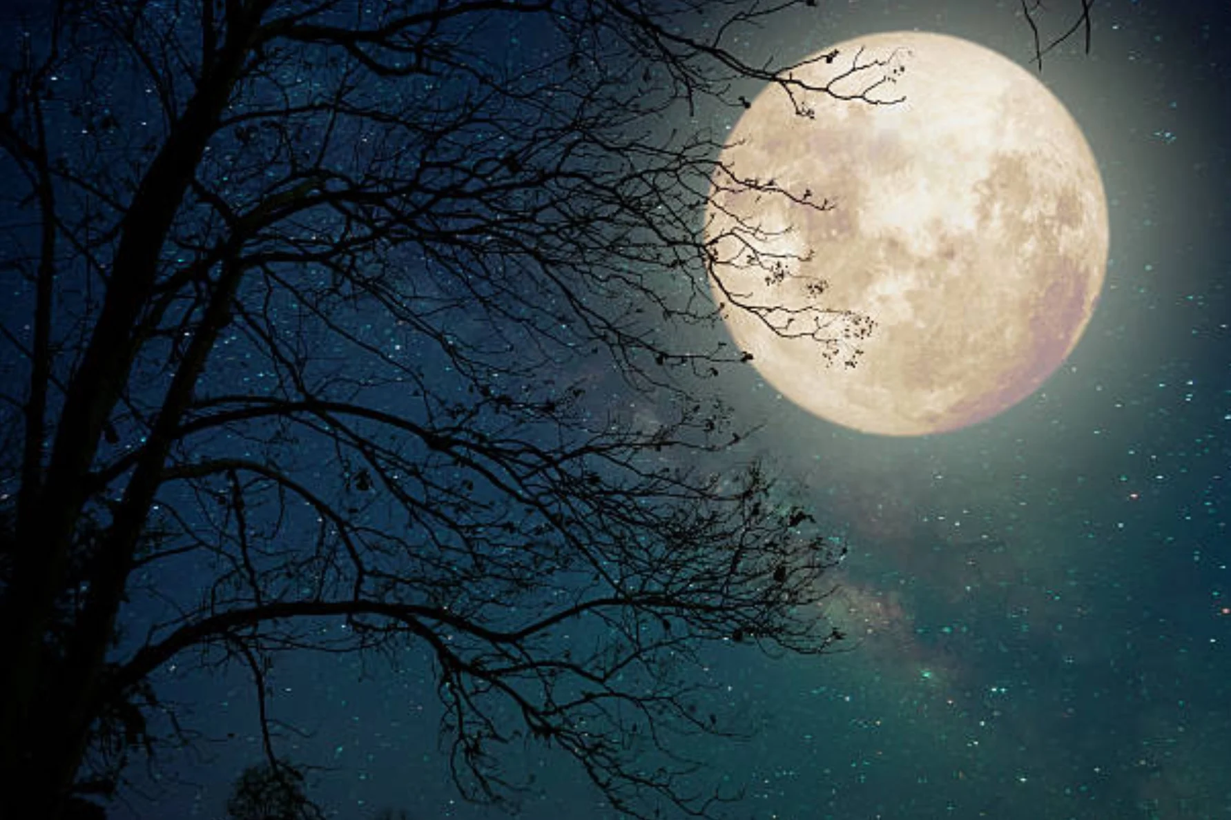 Parkison’s and My All Nighter!