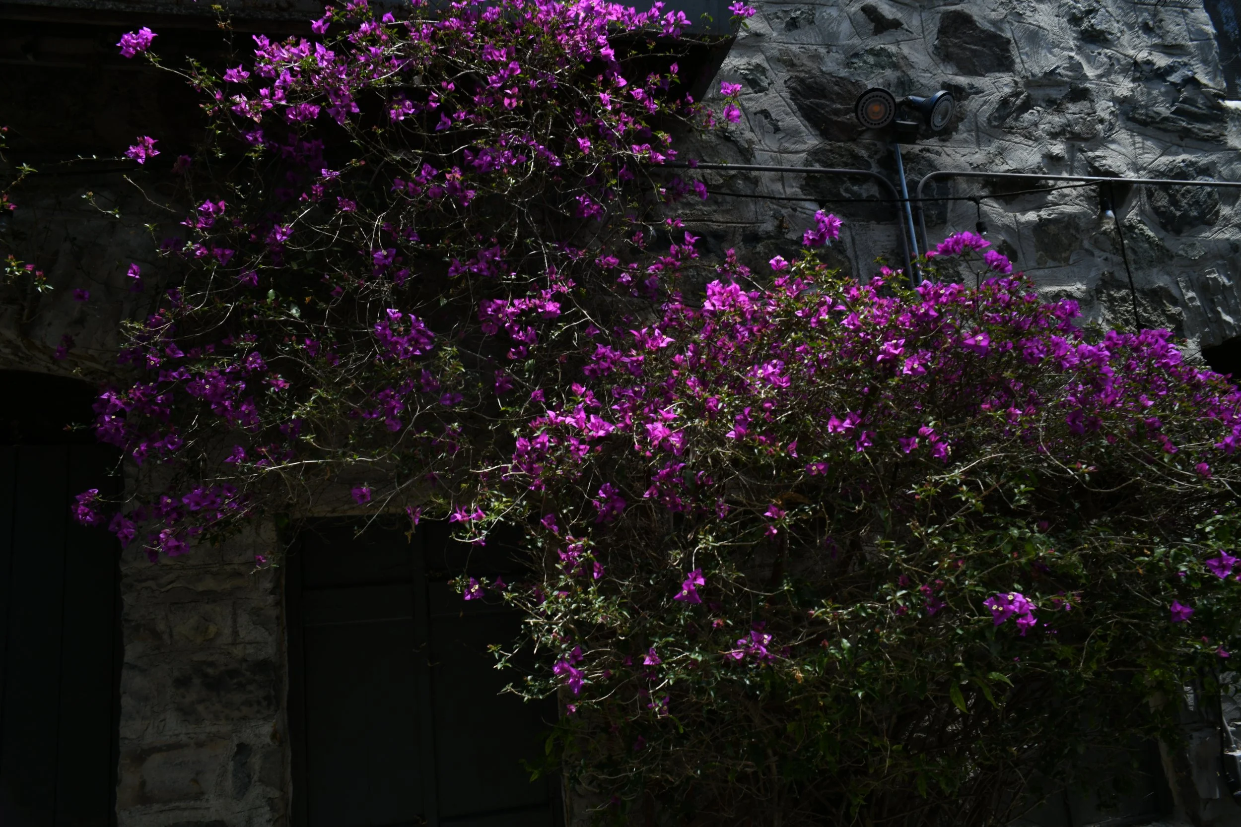 photo shoot by Leo Bevilacqua