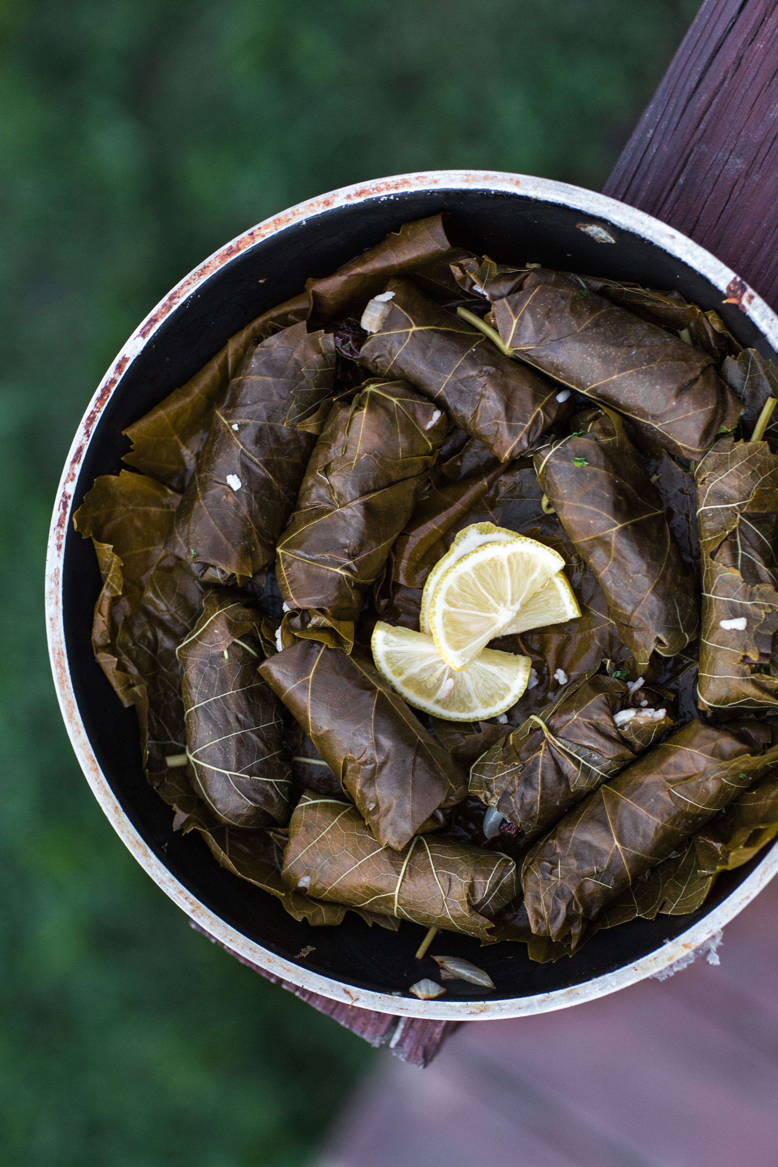 Azerbaijan | Dolmas