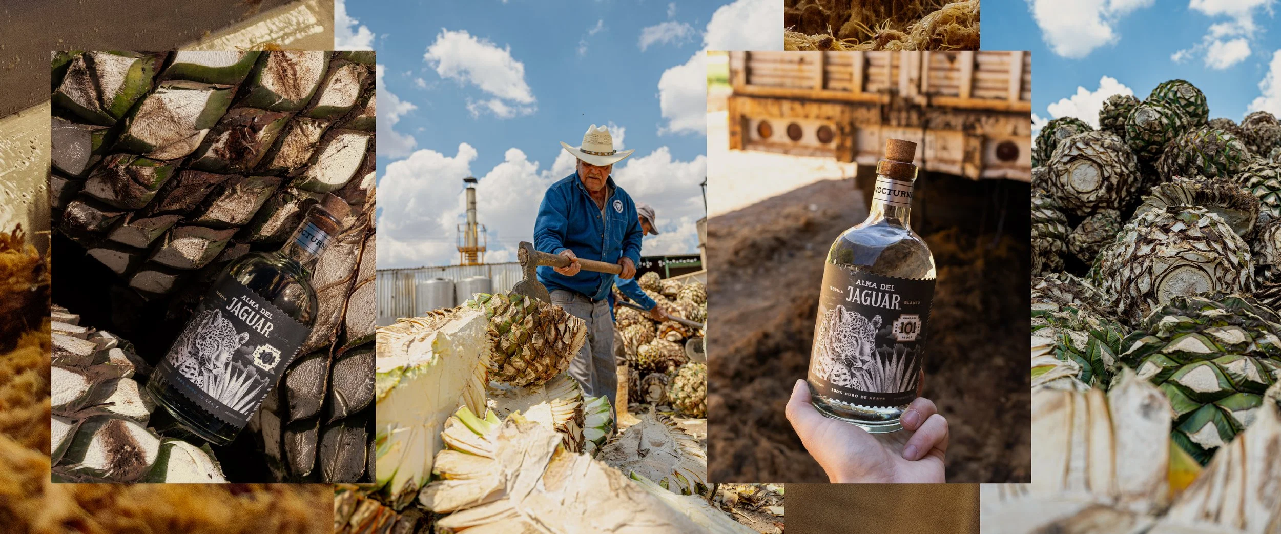 Jun1-TasteTerroir-Preview.jpg