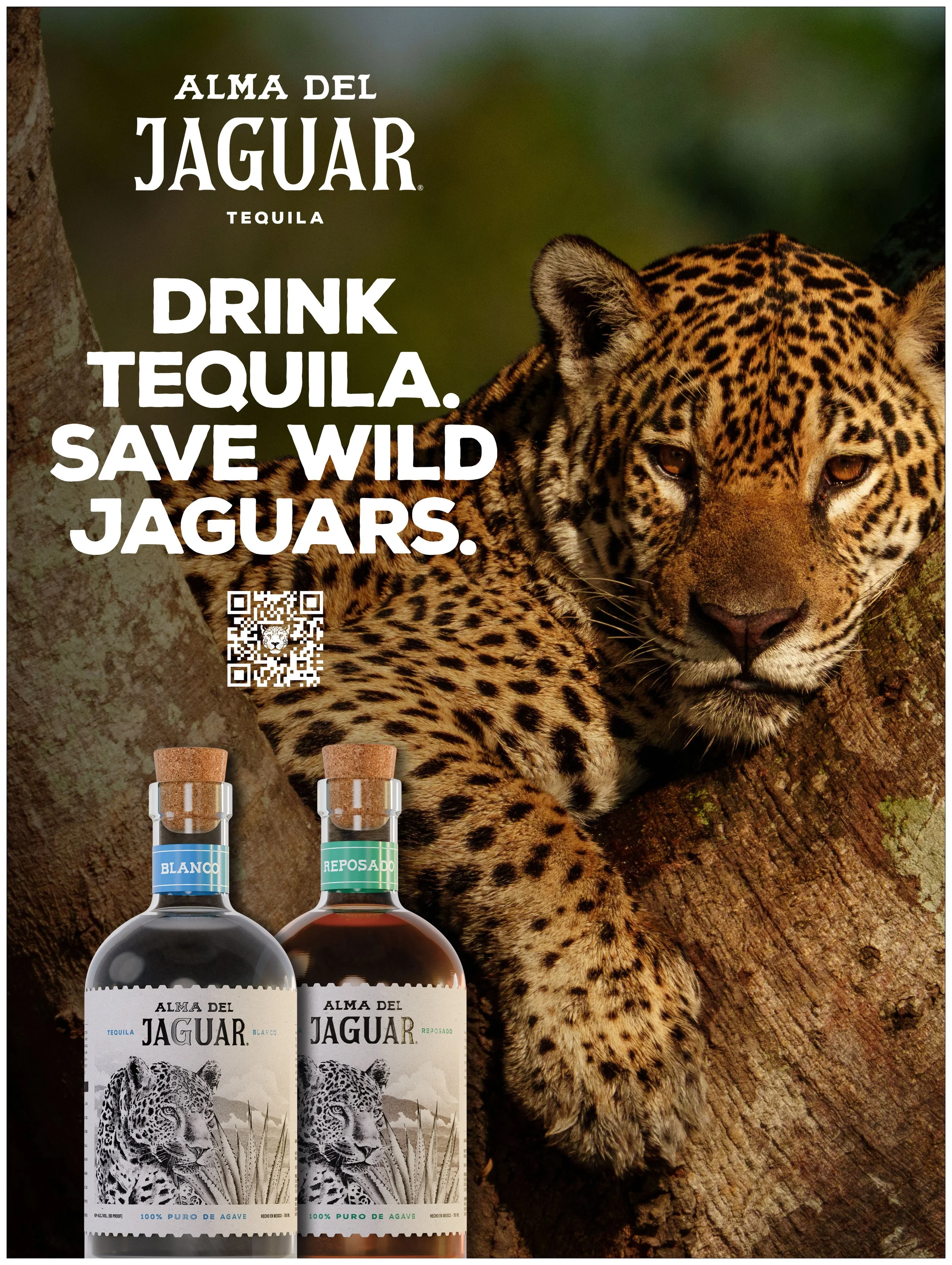 DRINK TEQUILA. SAVE WILD JAGUARS.jpg
