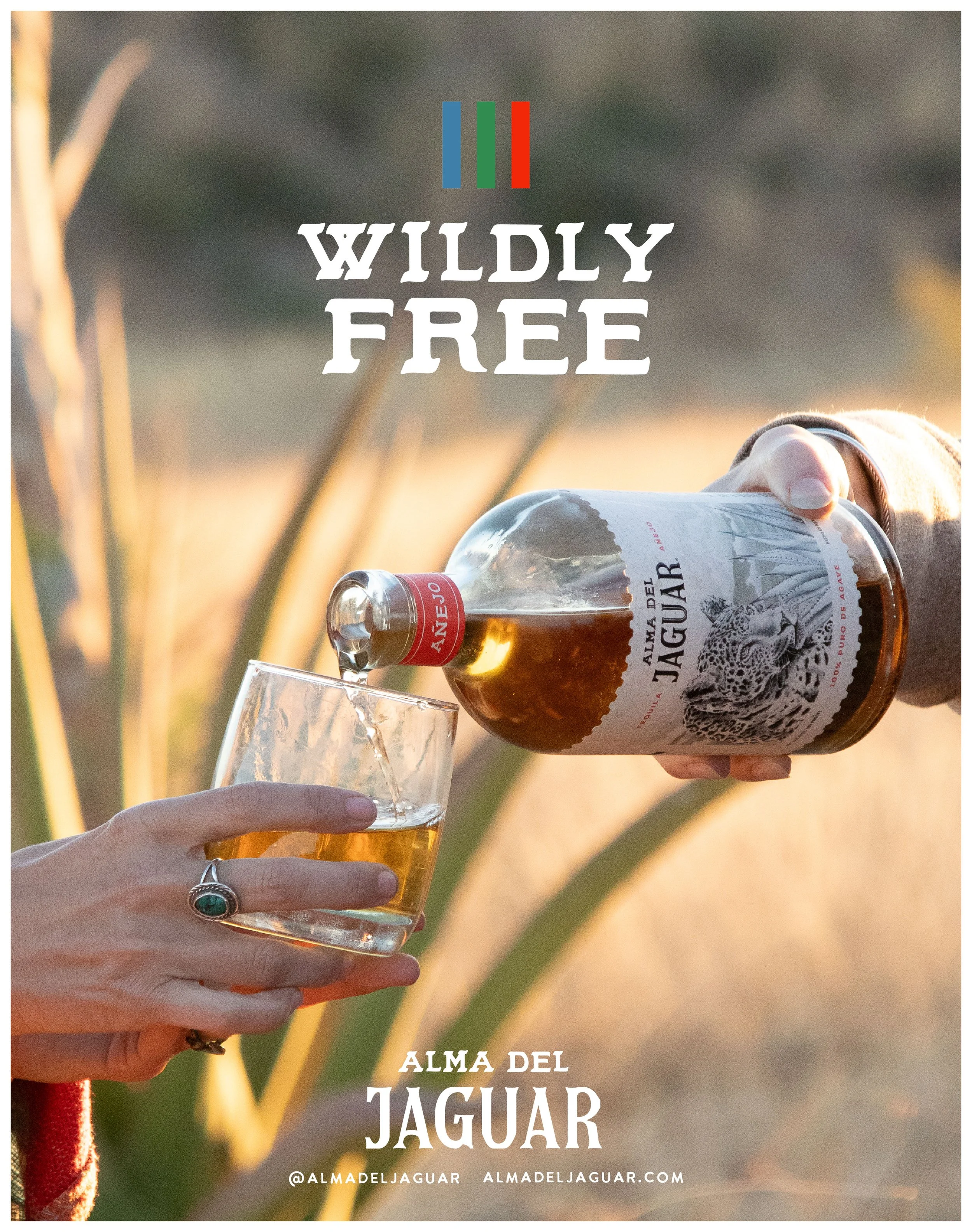 ADJ-BathroomFlyer-Anejo-2026.jpg