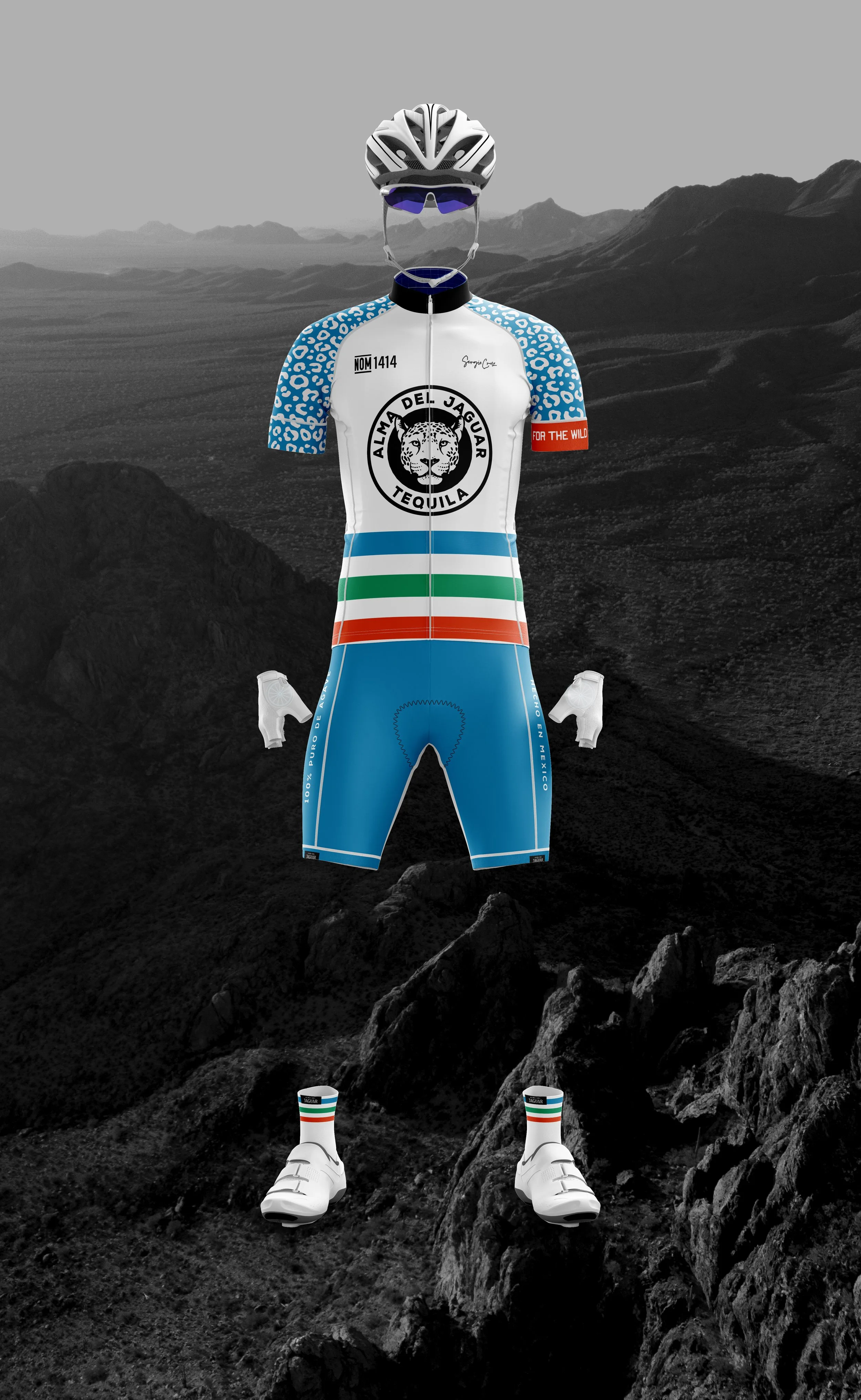 ADJ_BikeKit-Stripes.jpg
