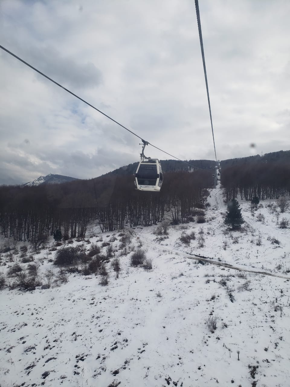 Nieve por todos lados
