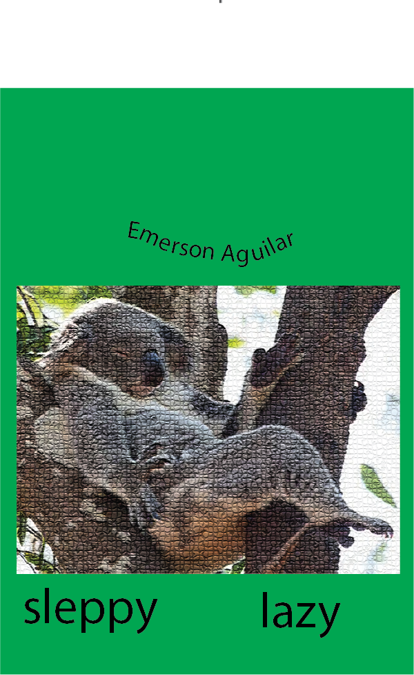 emerson aguilar animal2.png