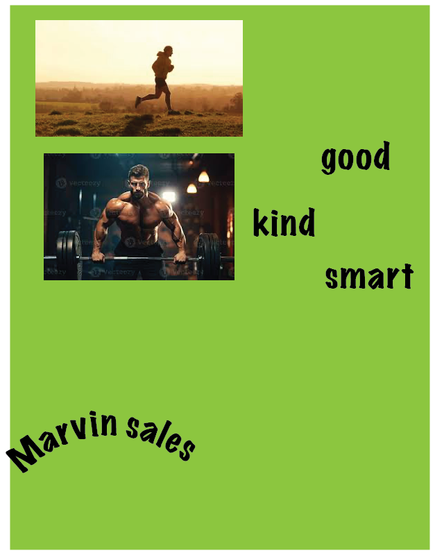 marvin .png