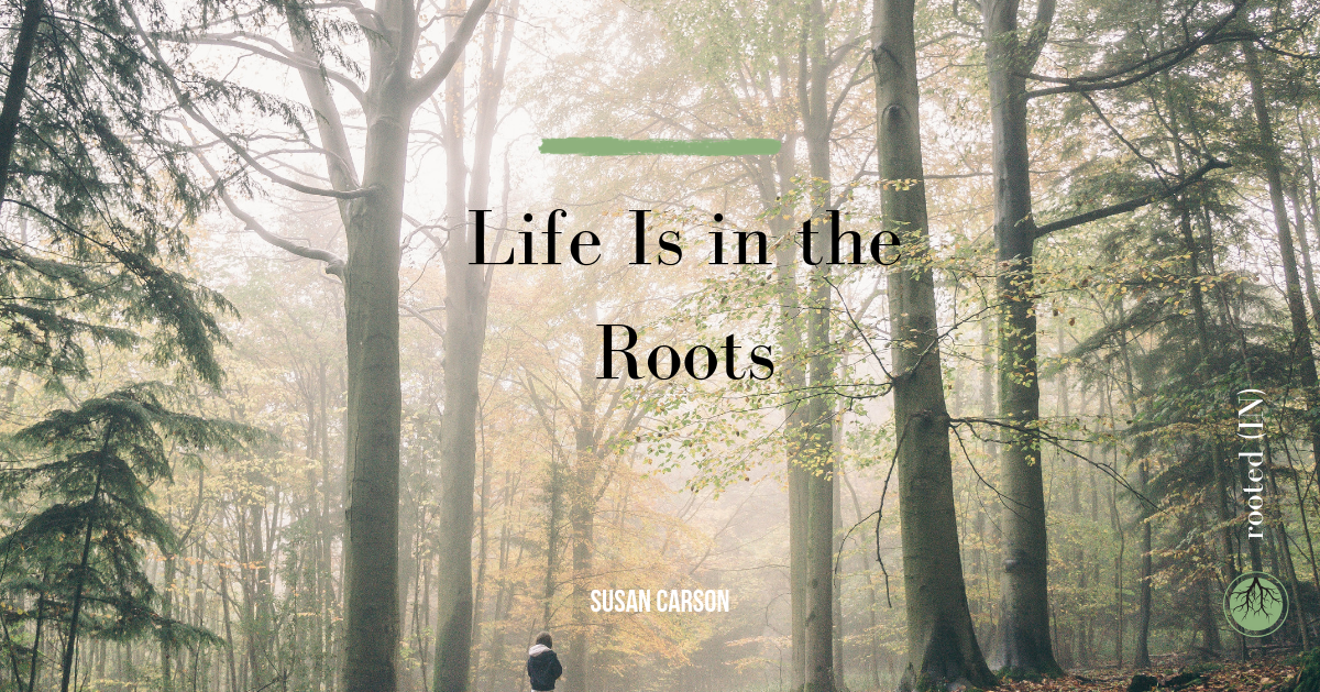rootedin — A Few Rooted Thoughts — Susan Carson