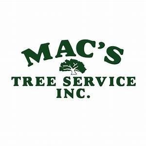 macs+tree+service.jpg