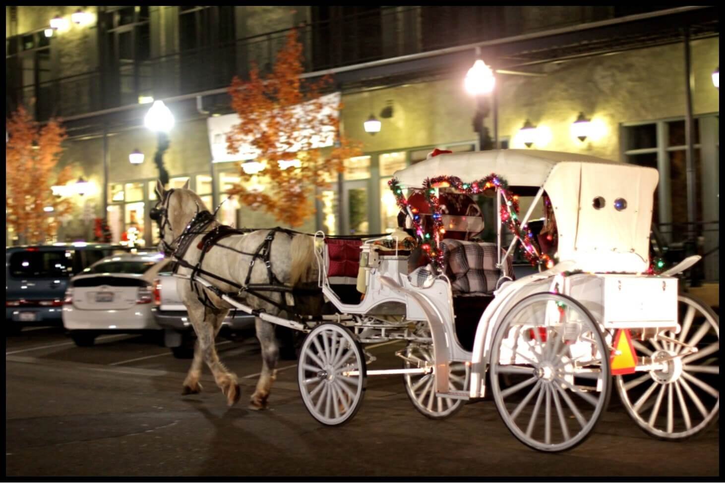 Christmas-Carriage-Rides.jpg