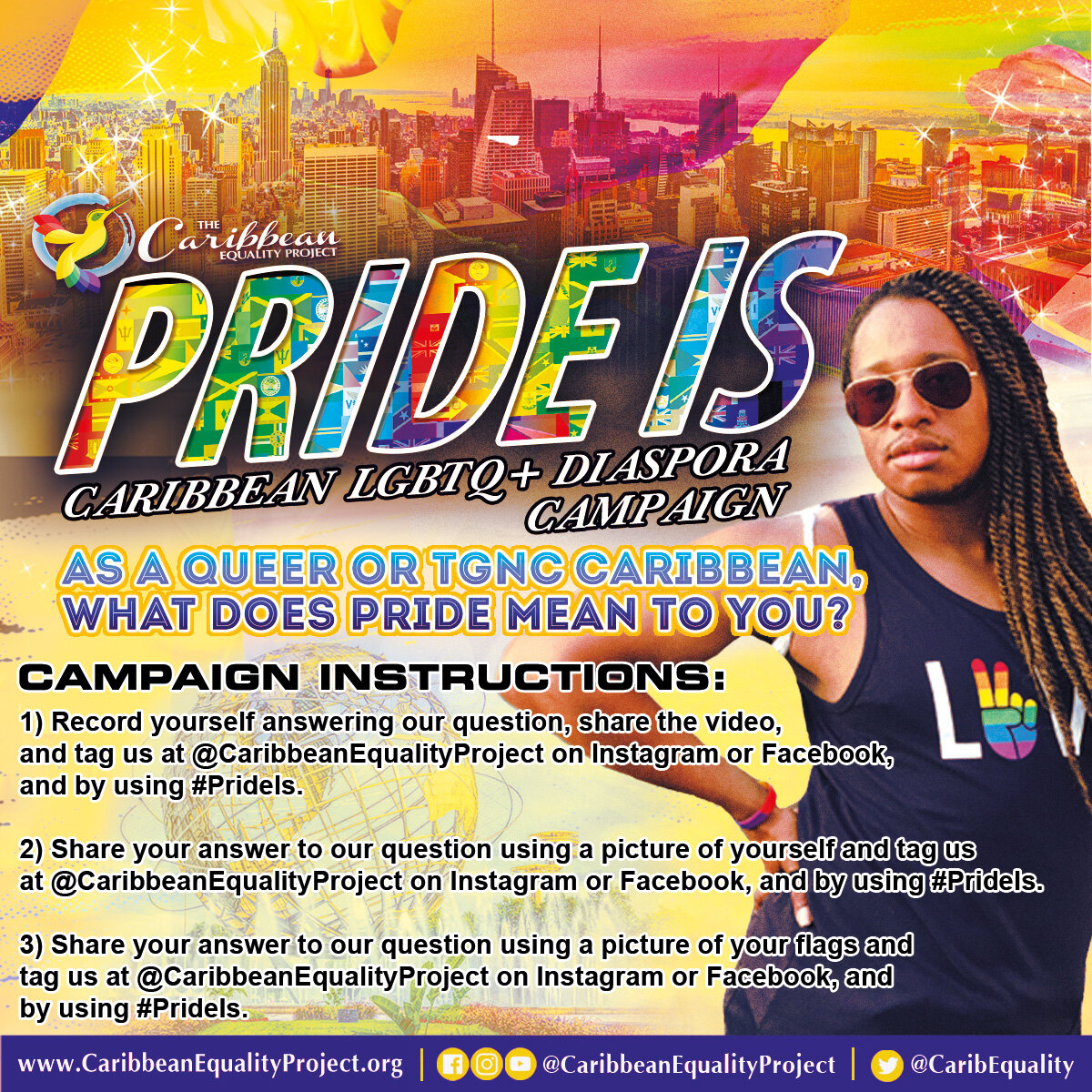 Pride Is Campaign Instructions