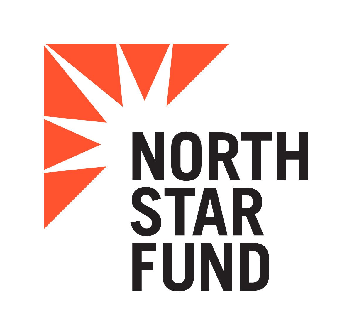 North-Star-Fund-Logo-1200.jpg
