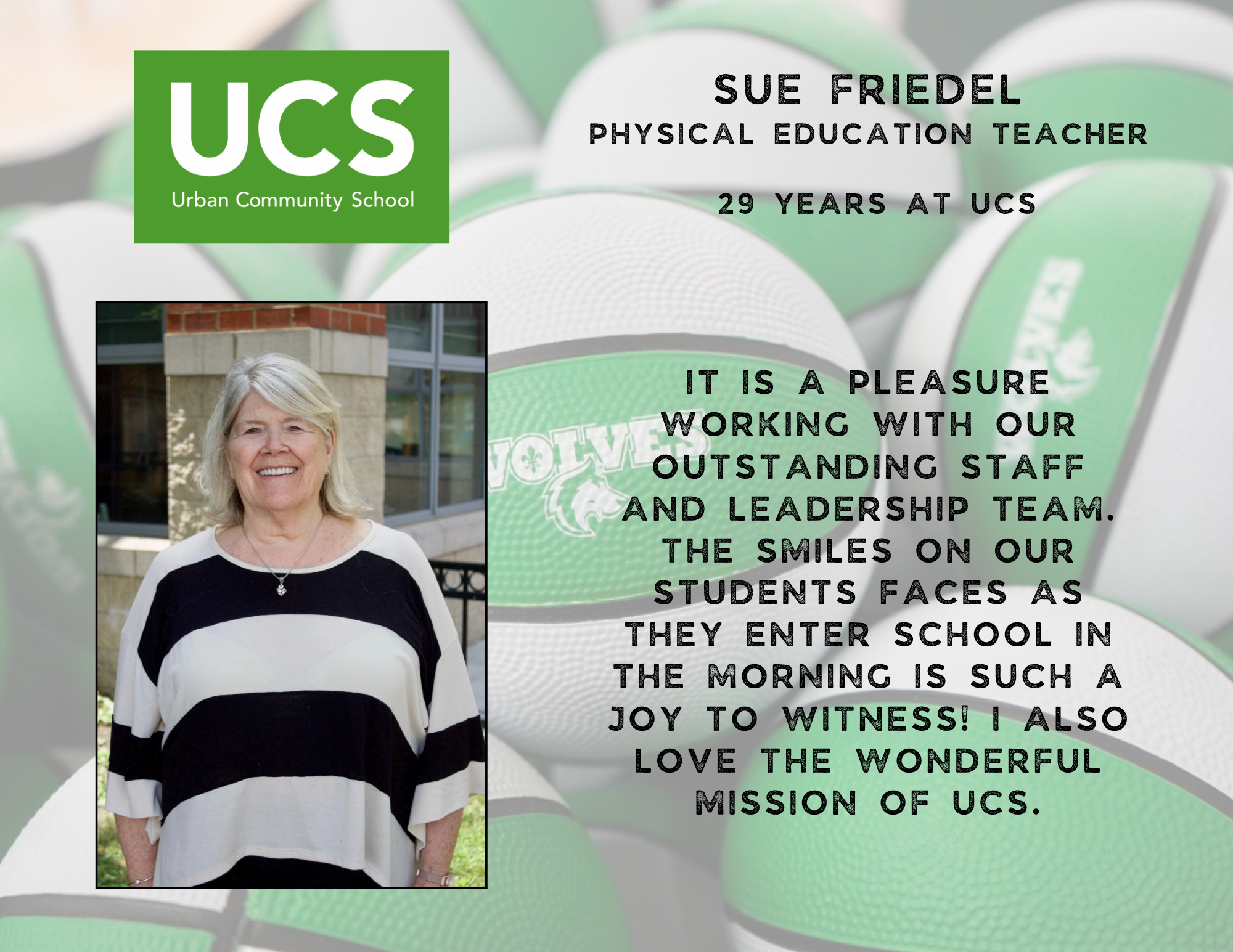 Sue Friedel Testimonial.png