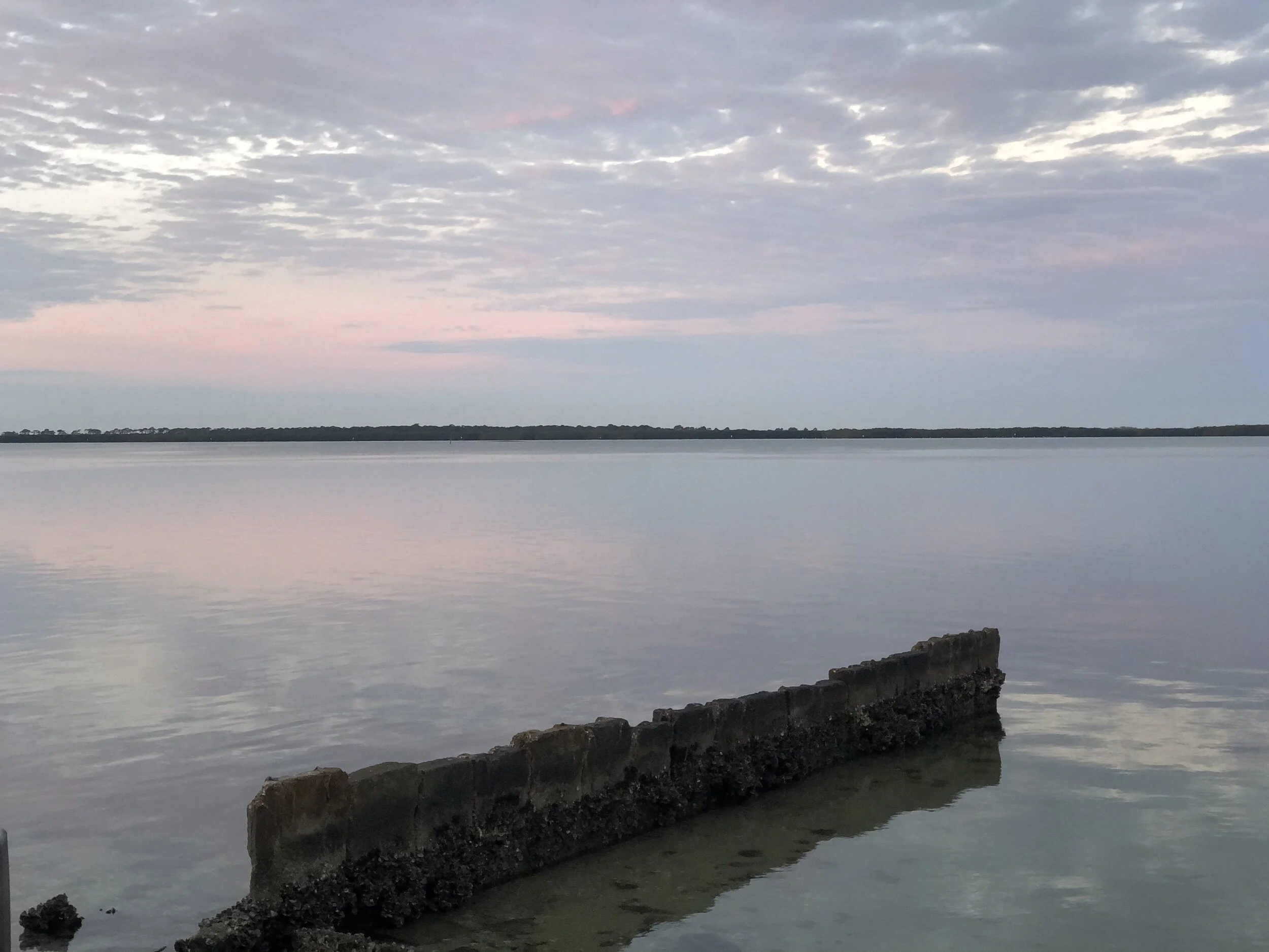 Dunedin intercoastal.jpg