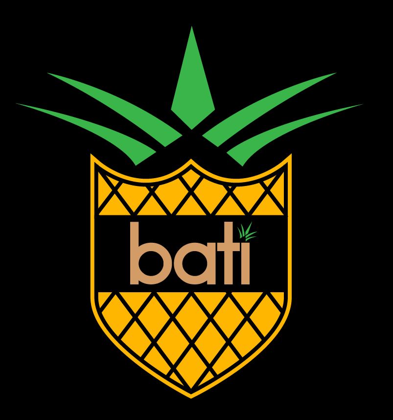 soccerlogo.JPG