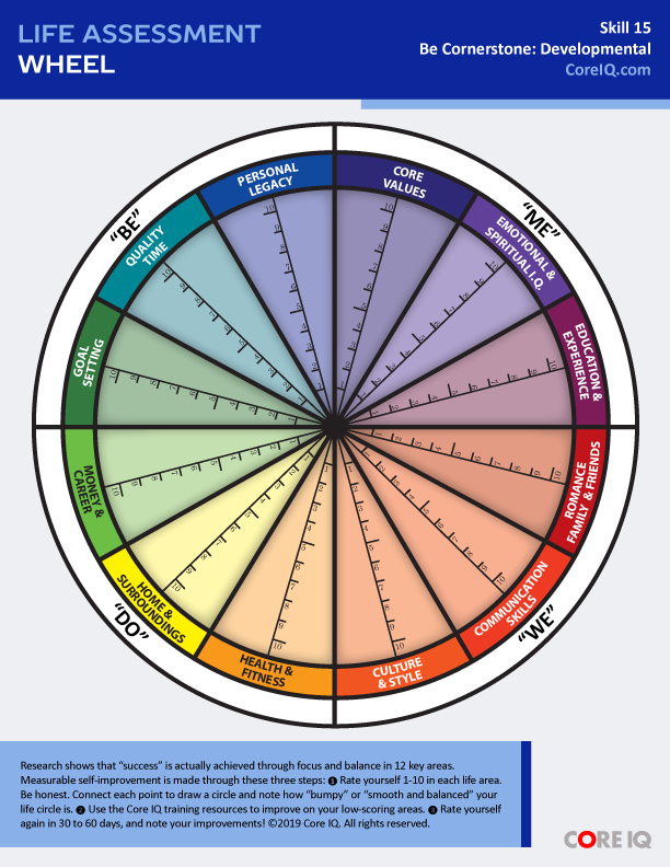 Skill 15: Life Assessment Wheel