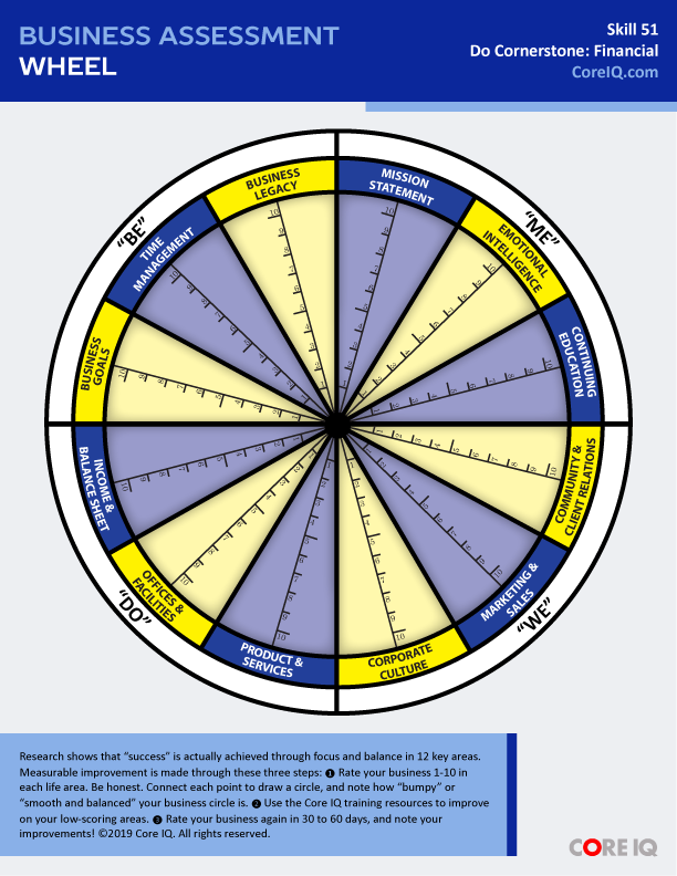 Skill 51: Business Assessment Wheel