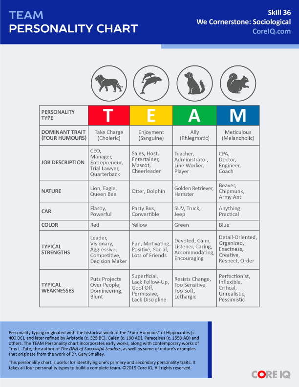 Skill 36: Team Personality Chart