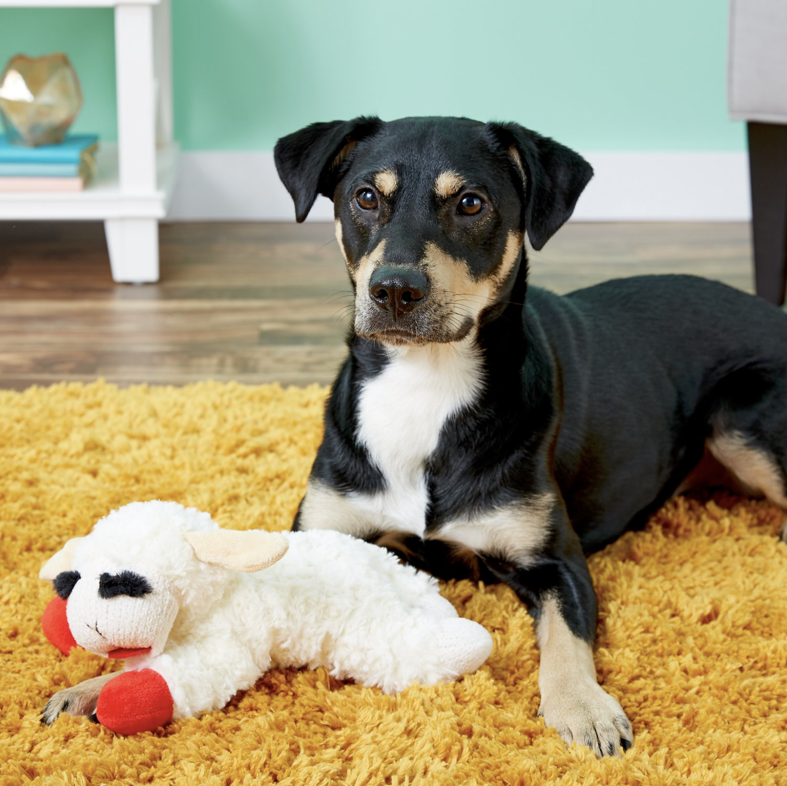 Lamb Chop Plush