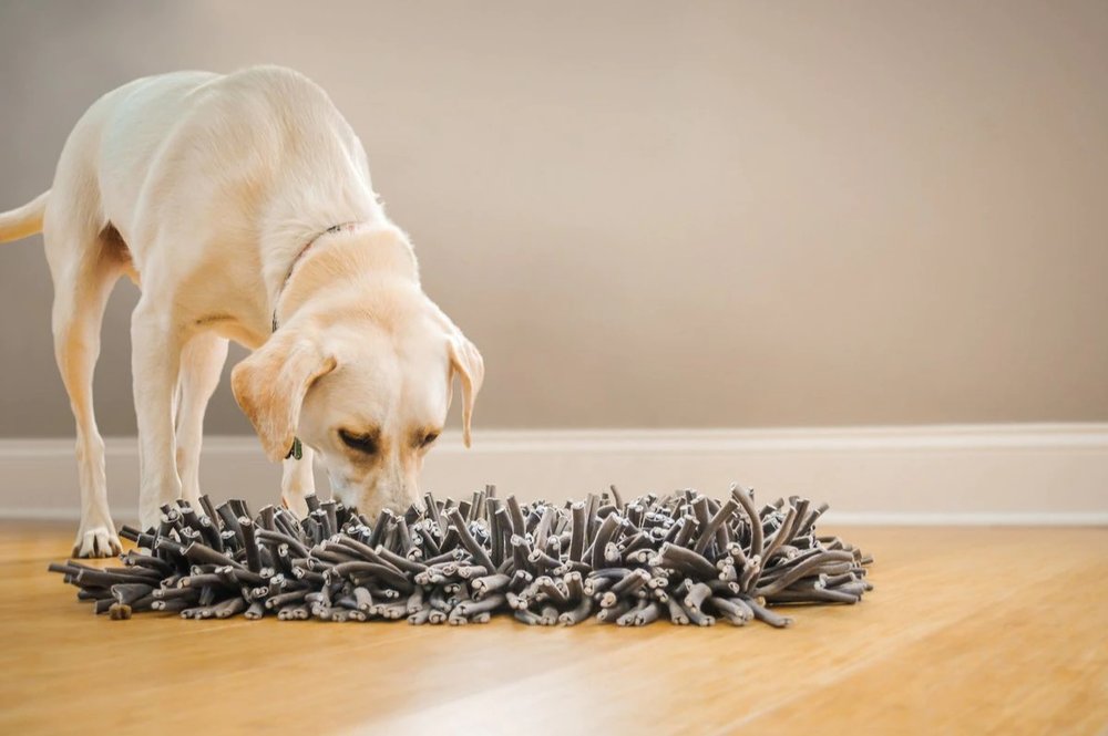 Wooly Snuffle Mat — Happy Dog