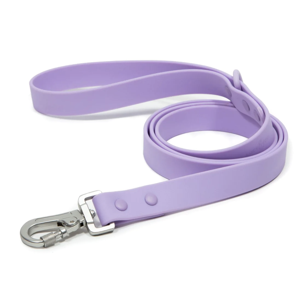 Lilac Everyday PVC Leash — Happy Dog