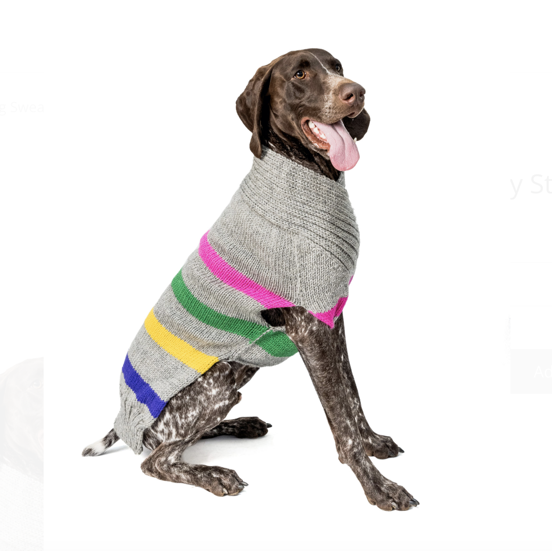 How To Stop Dog From Going Through Screen how-to-stop-dog-from-going-through-screen