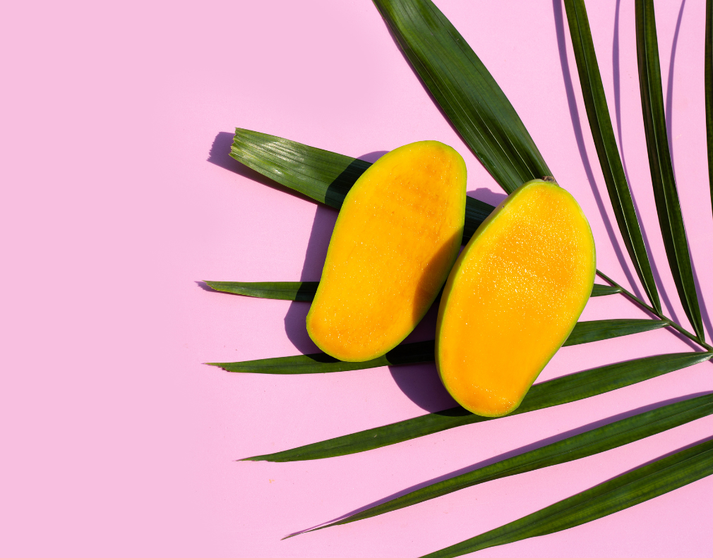 Mud Bath — Happy Dog