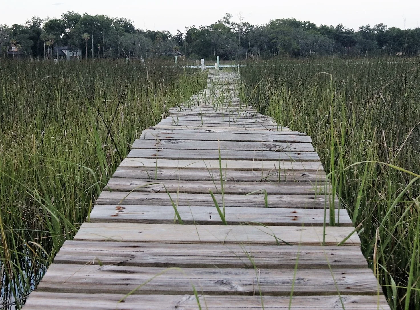 dock+pic.jpg