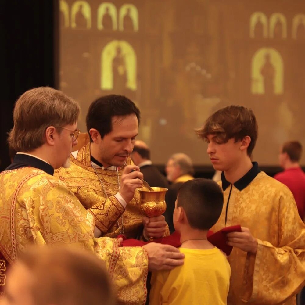 A photo a week from our life in Christ in the Orthodox Church, by Angie Nasrallah:

&quot;In mid-July, we went to the All-American Council in Baltimore, MD. The All-American Council (AAC) occurs every 3 years when the entire Orthodox Church of Americ