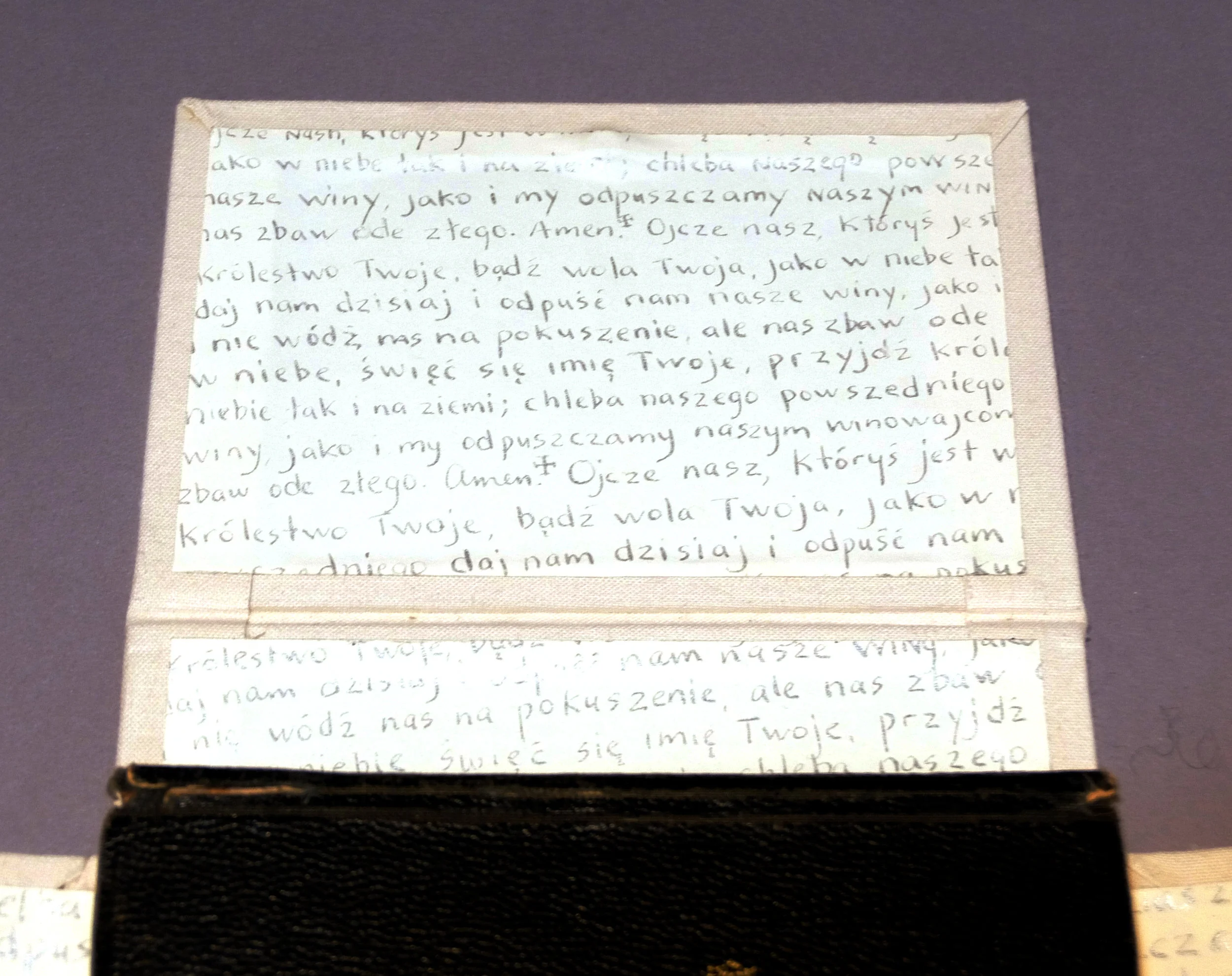 Detail: Case for St Francis Book of Prayers in Polish