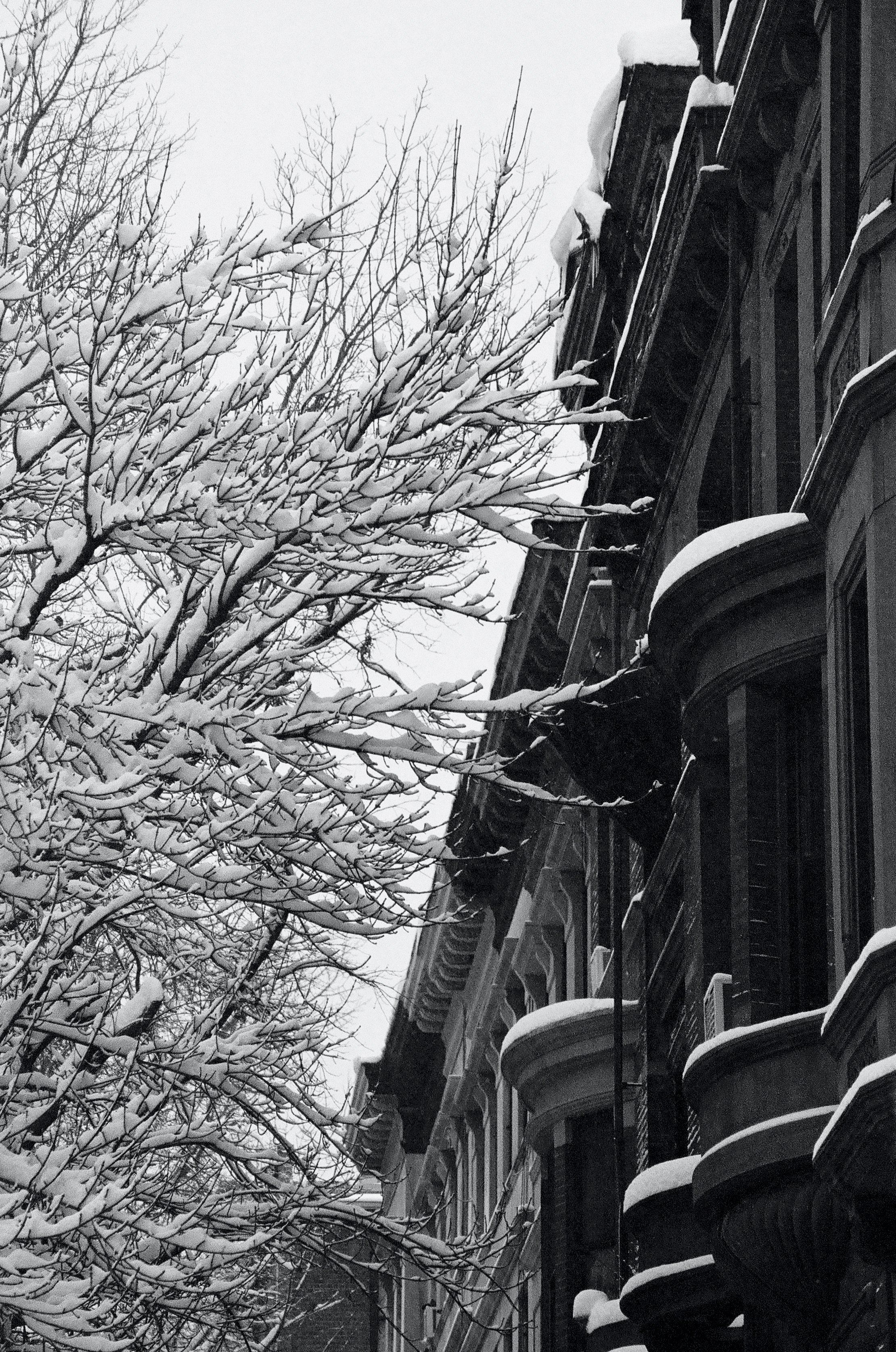untitled, (brownstones)