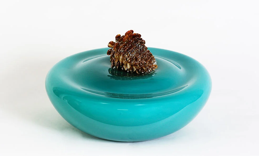 Pinecone In Solution.jpg