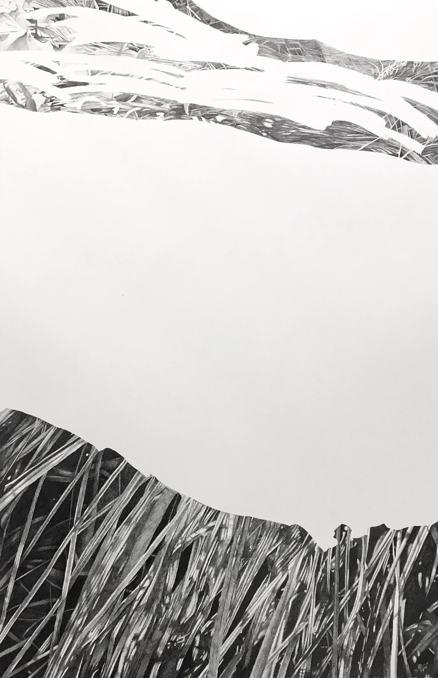 Drawing of 09.08.16 Tofte Lake (Grass)