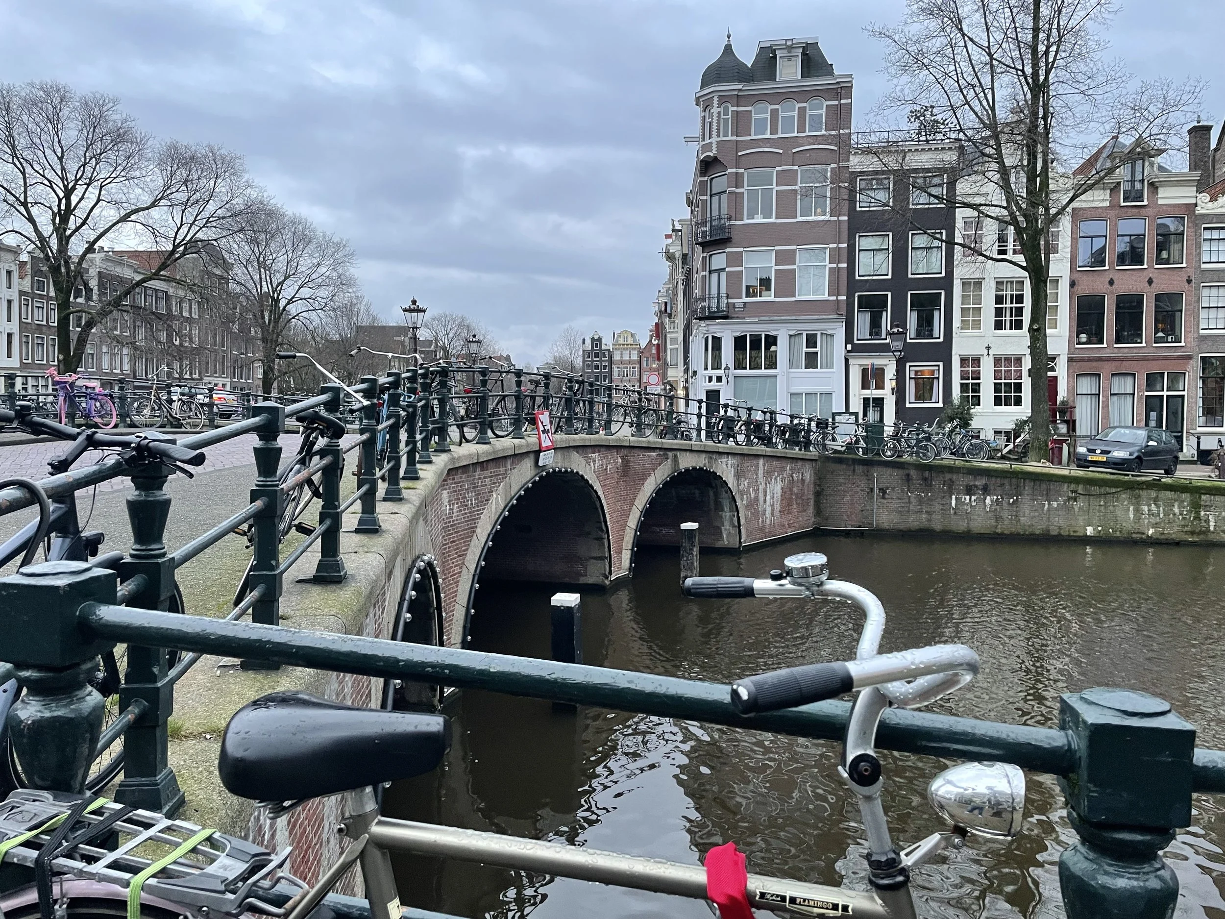 IMG_0560.jpeg