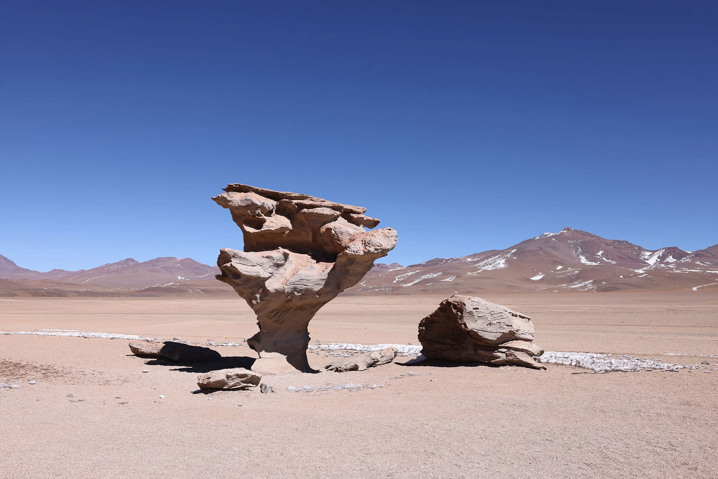Árbol de Piedra, ett stenträd i Potosi, Bolivia
