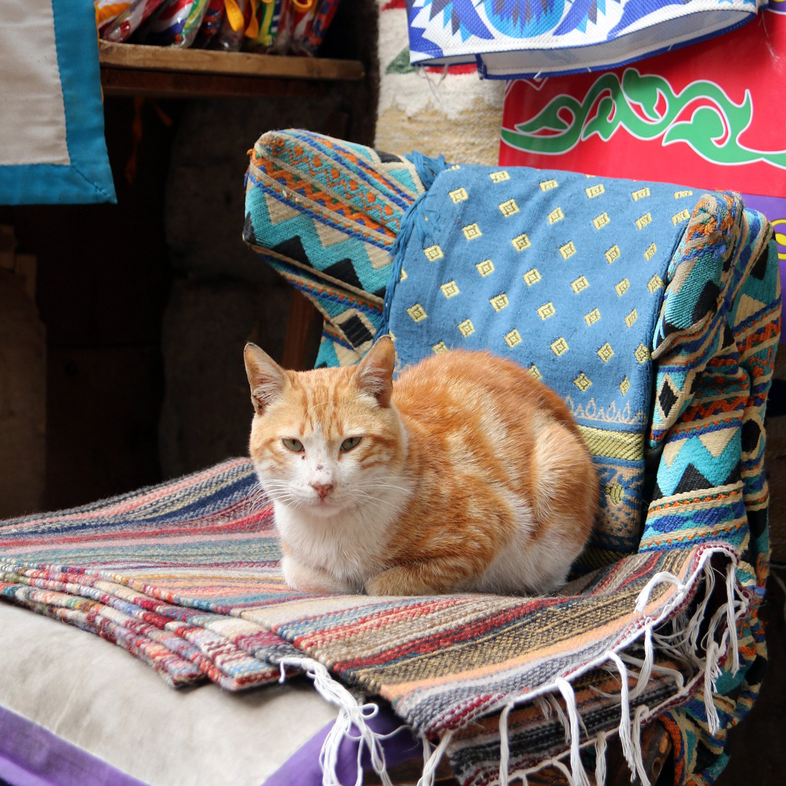  En röd katt vilar på en stol med mattor i Khan el-Khalili, Kairo, Egypten 