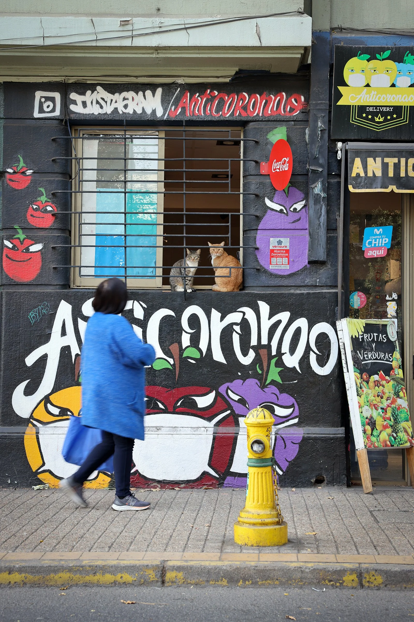 Fruktbutik med katter i fönstret, Santiago de Chile