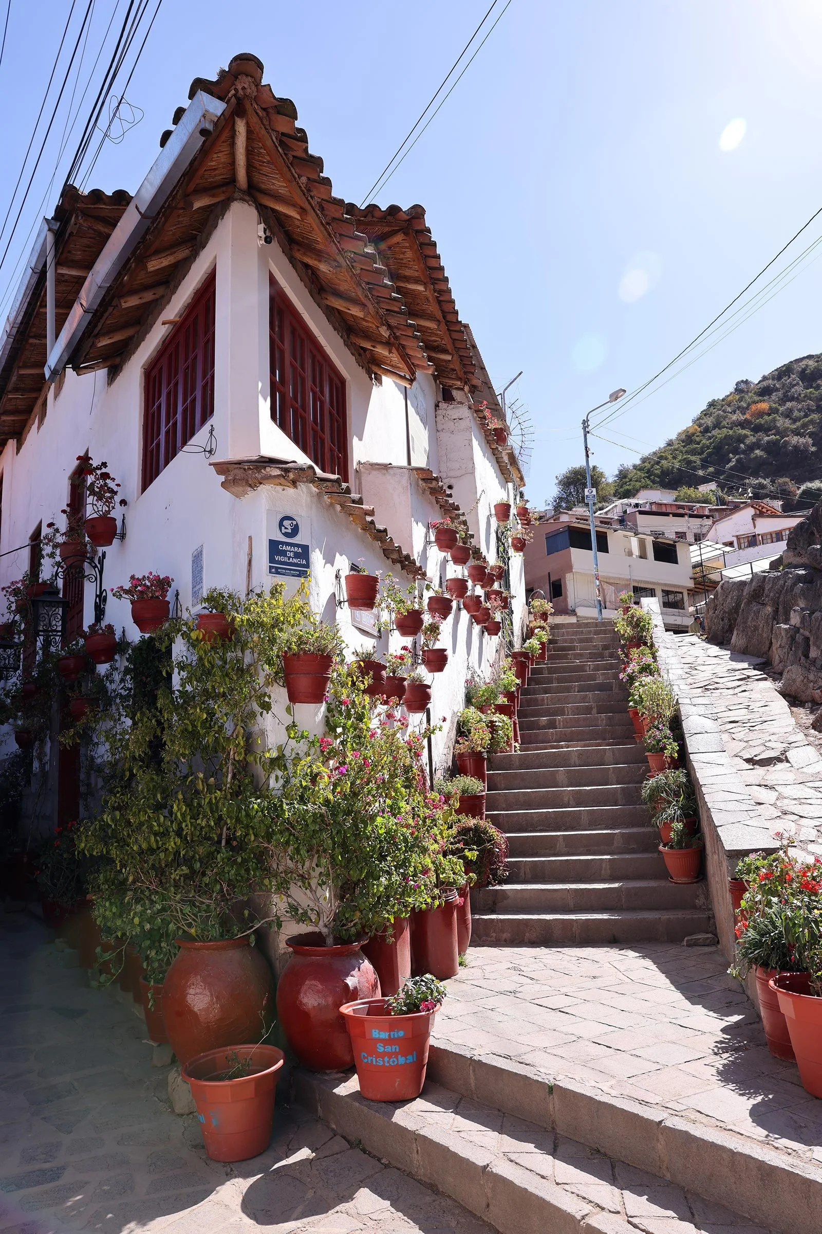 Calle Siete Borreguitos