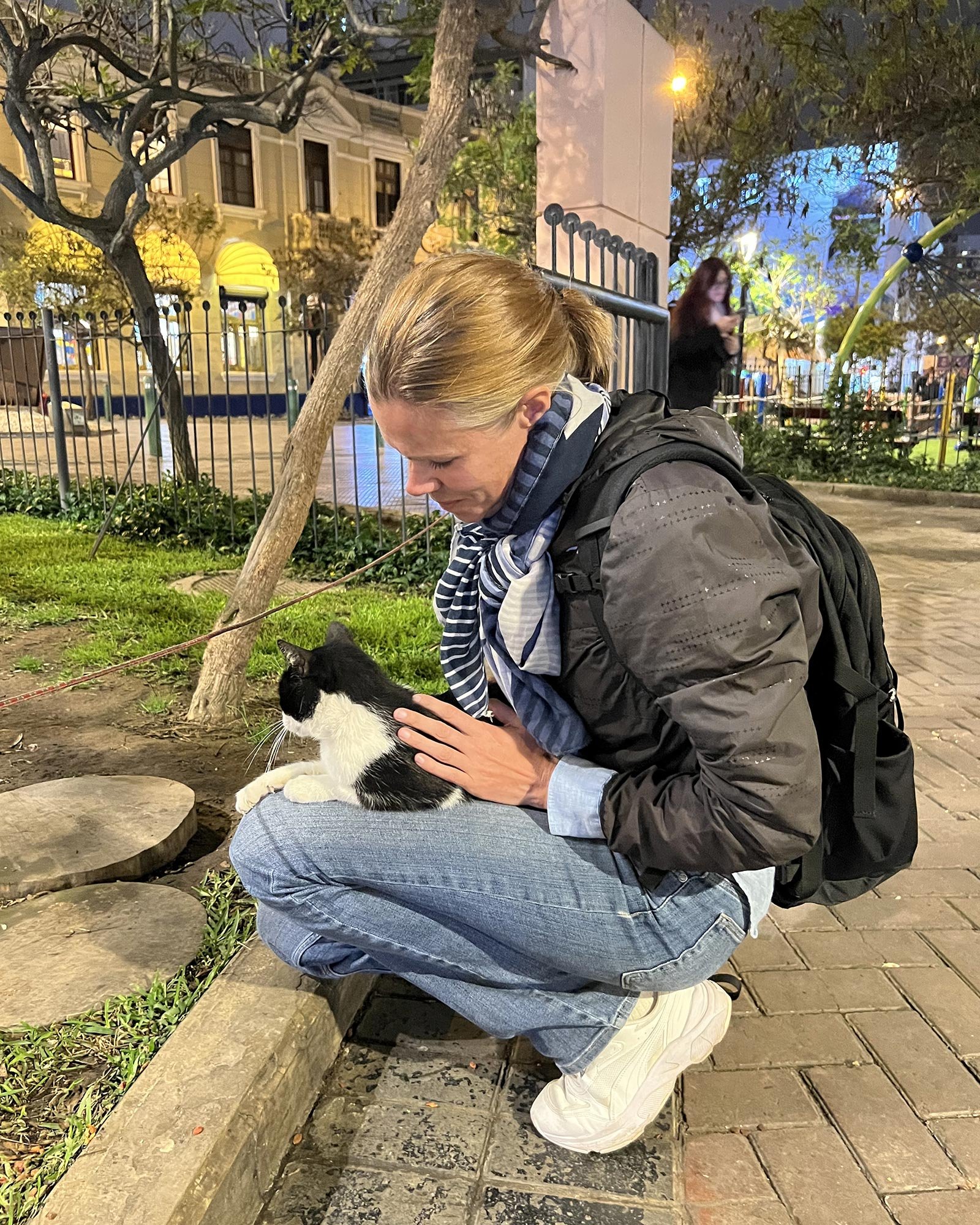  En svartvit katt som lagt sig i knäet på en person som sitter på huk i parken Parque Kennedy i Lima, Peru 