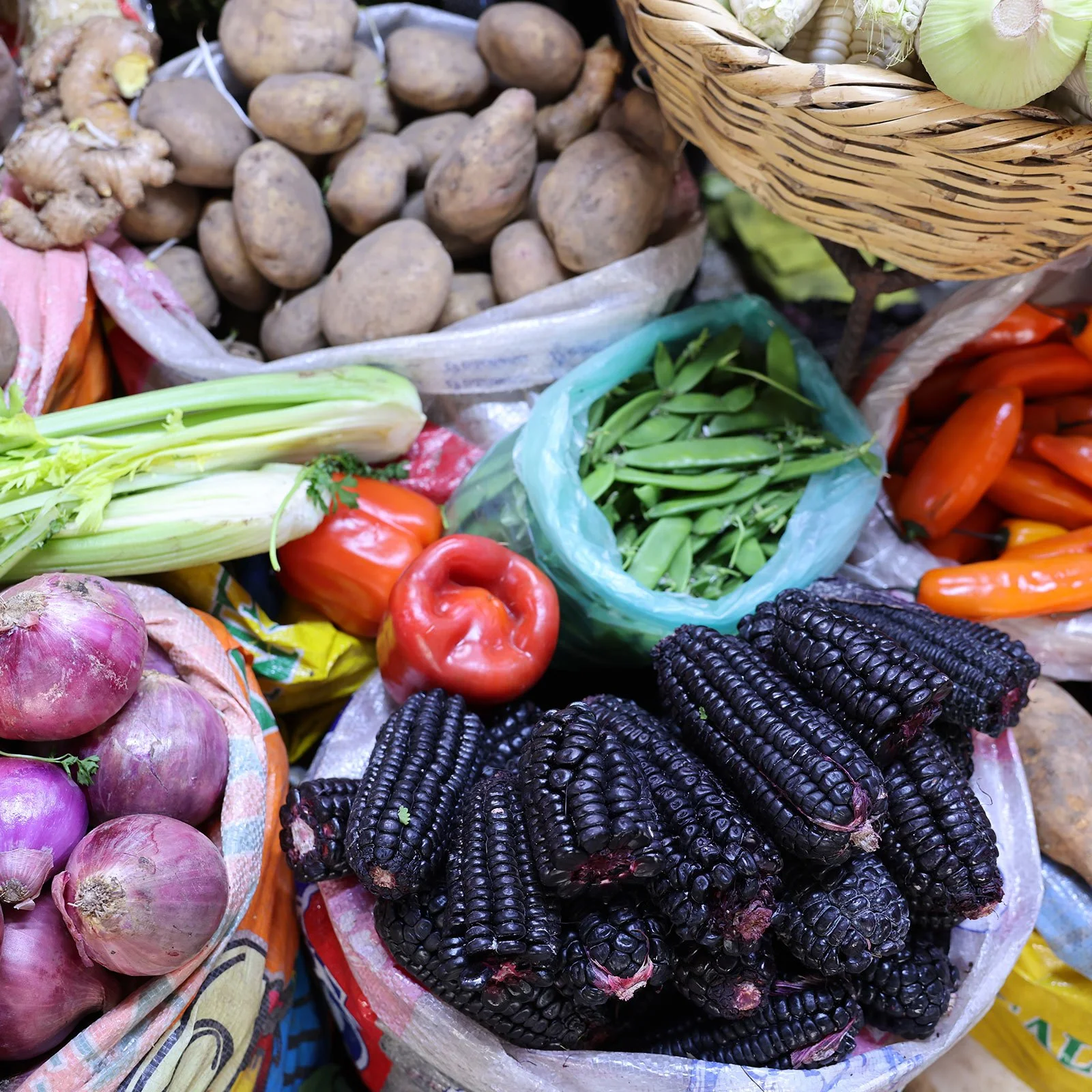 Den mörklila majsen maíz morado