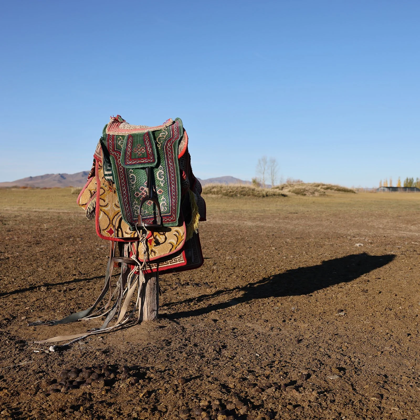  Mönstrade sadlar ute på den mongoliska slätten 