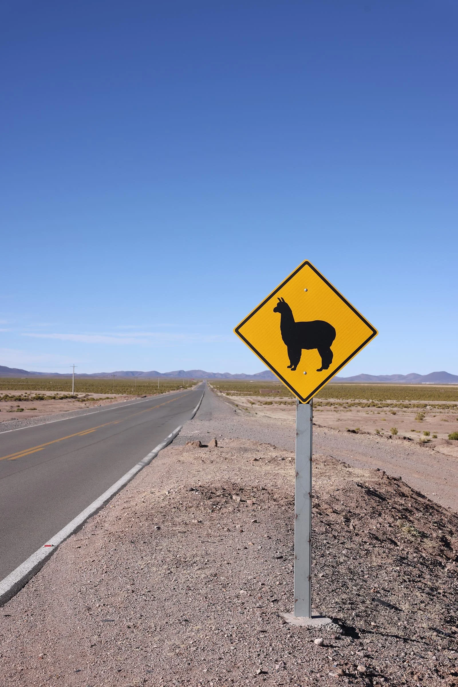 Gul vägskylt som varnar för lamadjur i området Potosi, Bolivia