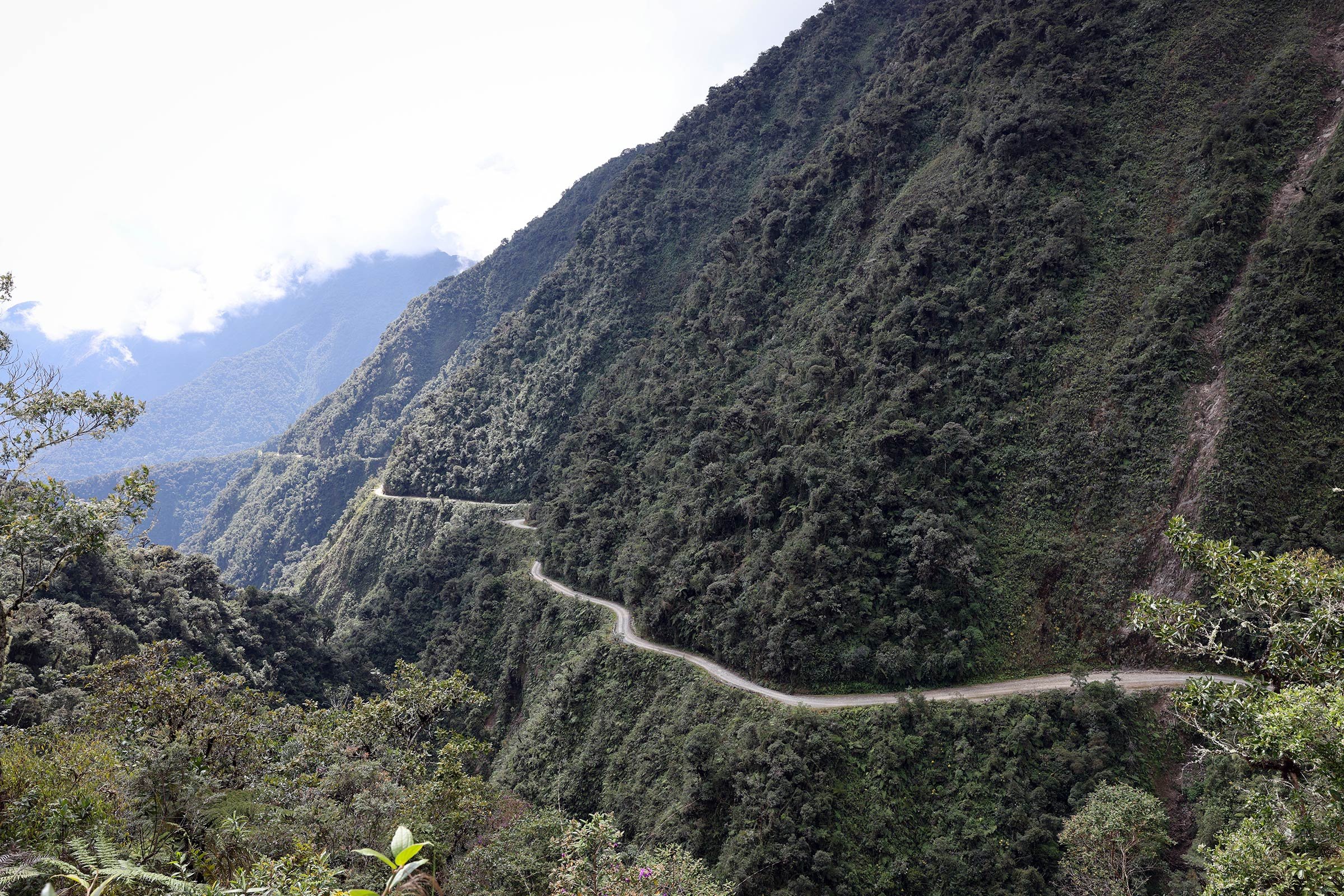 Frodig grönska längs Dödens väg i Bolivia