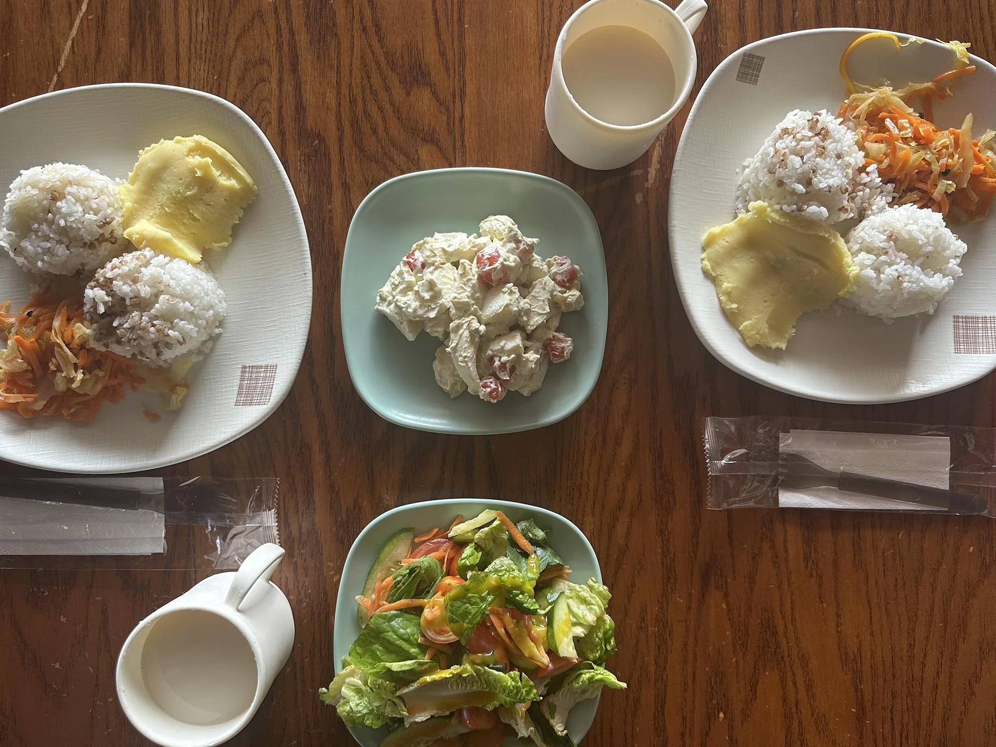 Lunch för två vegetarianer på en mongolisk vägkrog
