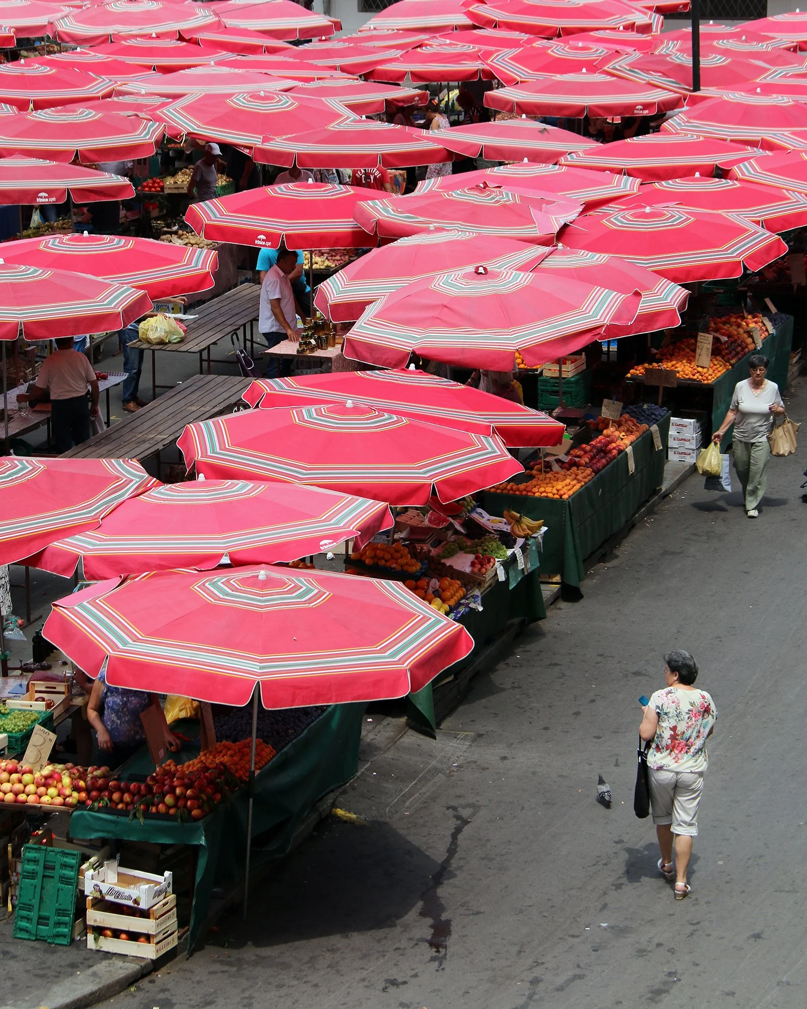 Röda parasoll på marknaden Dolac i Zagreb, Kroatien